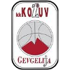 https://img.gaanakhazana.com/img/basketball/team/4b06fe02aaa7da5901e5698485059da0.png